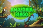 Amazonia Bingo Poker