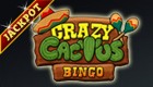 Crazy Cactus Bingo slot
