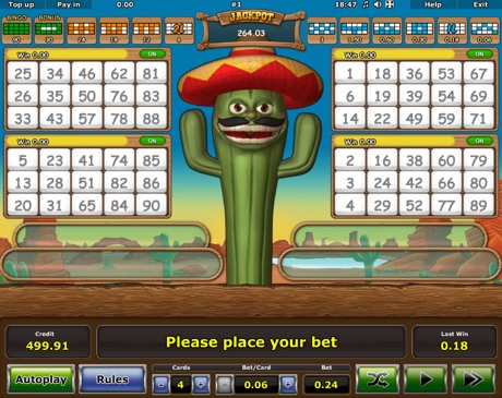 Crazy Cactus Bingo Slot