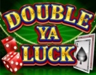 Double Ya Luck Slot RTG