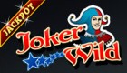 Joker Wild video poker