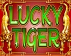Lucky Tiger Slot RTG