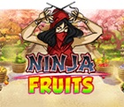 Ninja Fruits slot