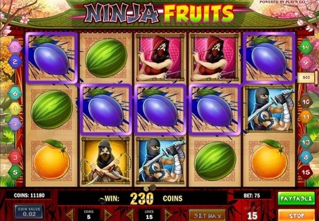 Ninja Fruits Slot