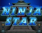 Ninja Star Slot RTG