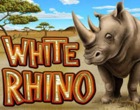 White Rhino Slot RTG