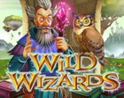 Wild Wizards Slot RTG
