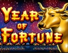 Year of Fortune Slot RTG
